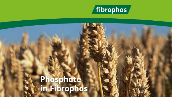 Phosphate in Fibrophos