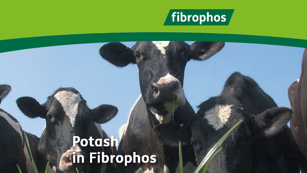 Potash in Fibrophos